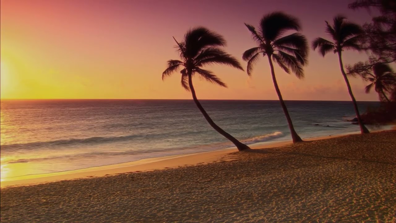 Meditation / Relax / Mira