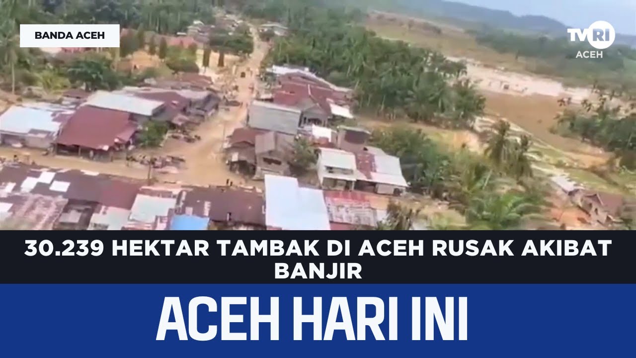 30 239 Hektar Tambak di Aceh Rusak Akibat Banjir | Berita Aceh Hari Ini