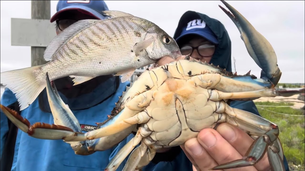 Crabbing and Fishing New Jersey - Cedar Run County Park