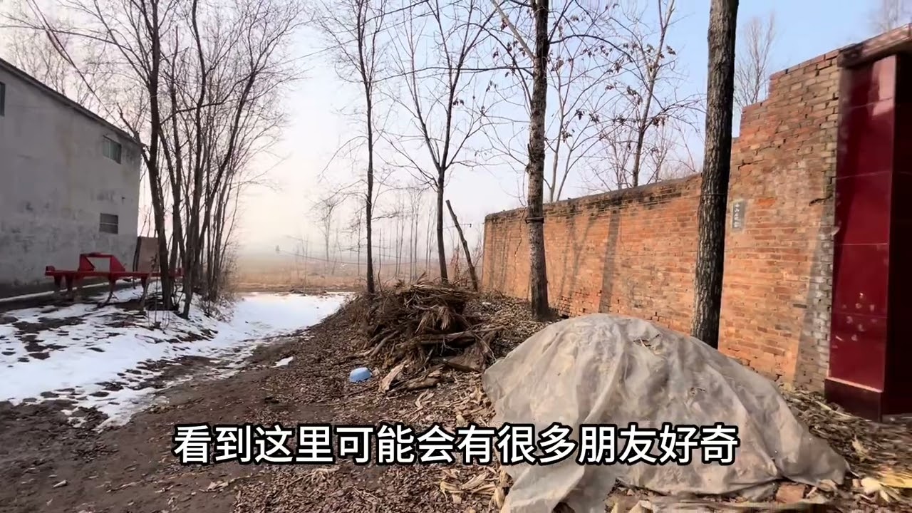 实拍山东菏泽拆迁村现状，到处一片荒凉，小伙刚到就被惊住了