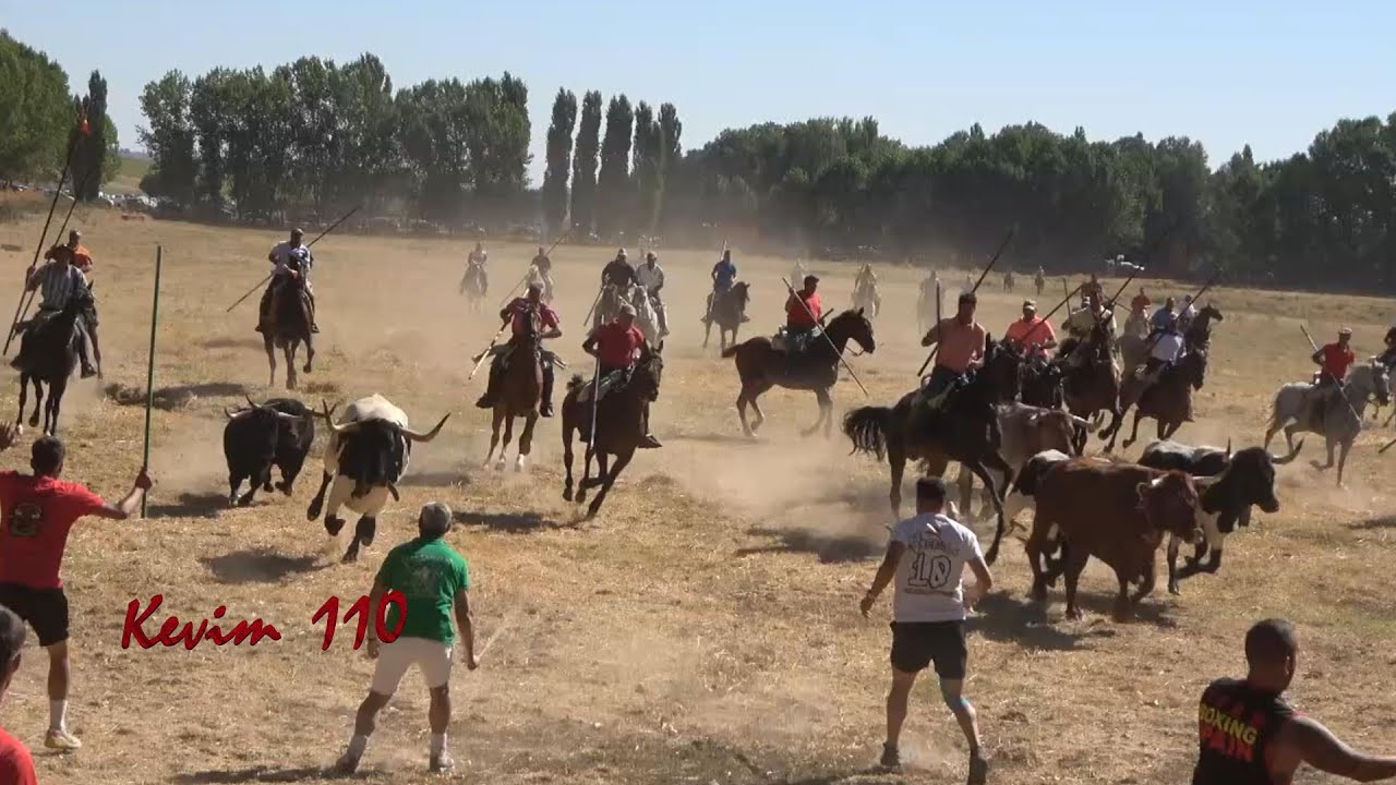 Villamor de los Escuderos 2023, sabado en el prao