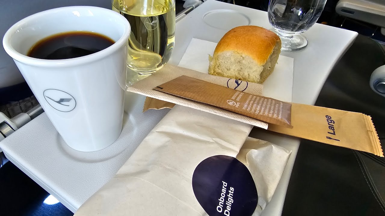 Lufthansa Airlines A320 Neo MUC-CDG Munich to Paris Business Class  漢莎航空 慕尼黑至巴黎 商務艙
