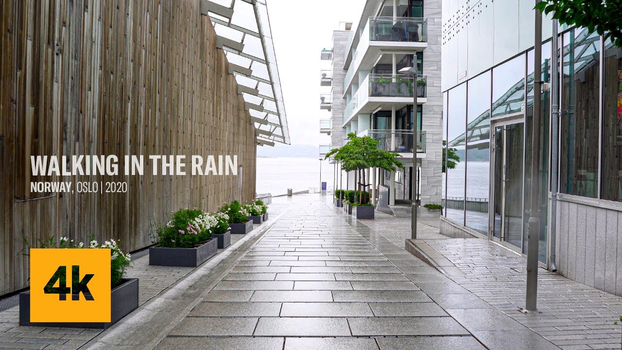 Walking in The Rain ASMR | Dock walk in Oslo | Aker Brygge