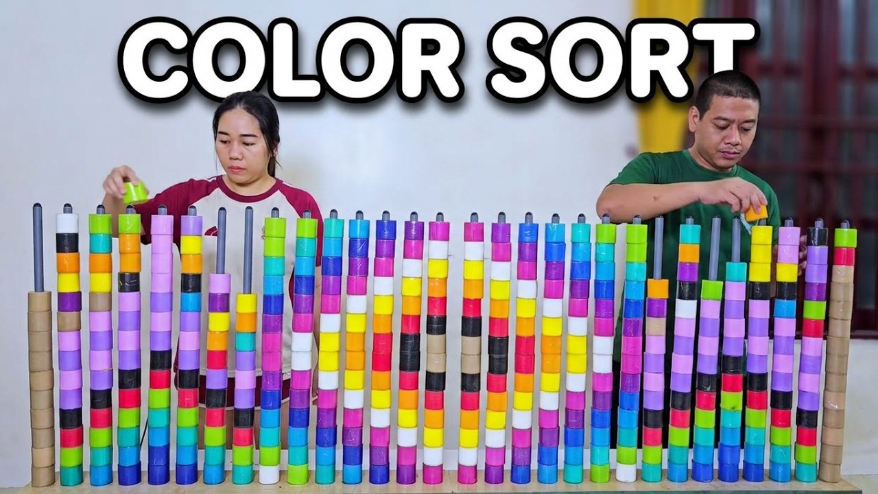 Family Games | color Roll  Sorting Challenge Fun Brain Training Game ☆ level 26