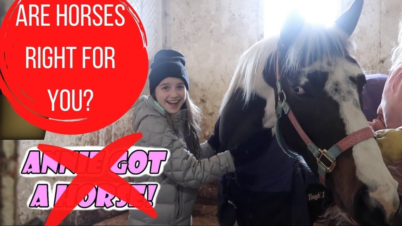 Why You SHOULDN'T Buy A Horse