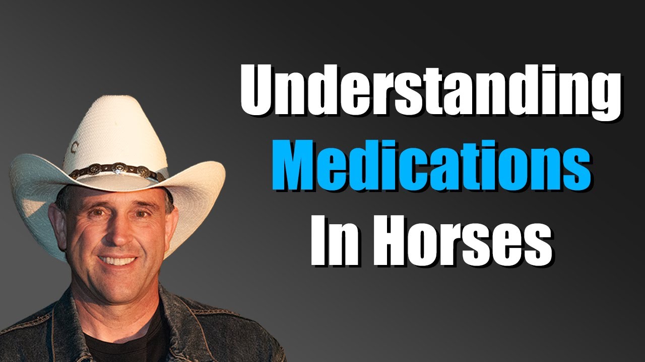 Understanding how the medicines we use impact your horse.