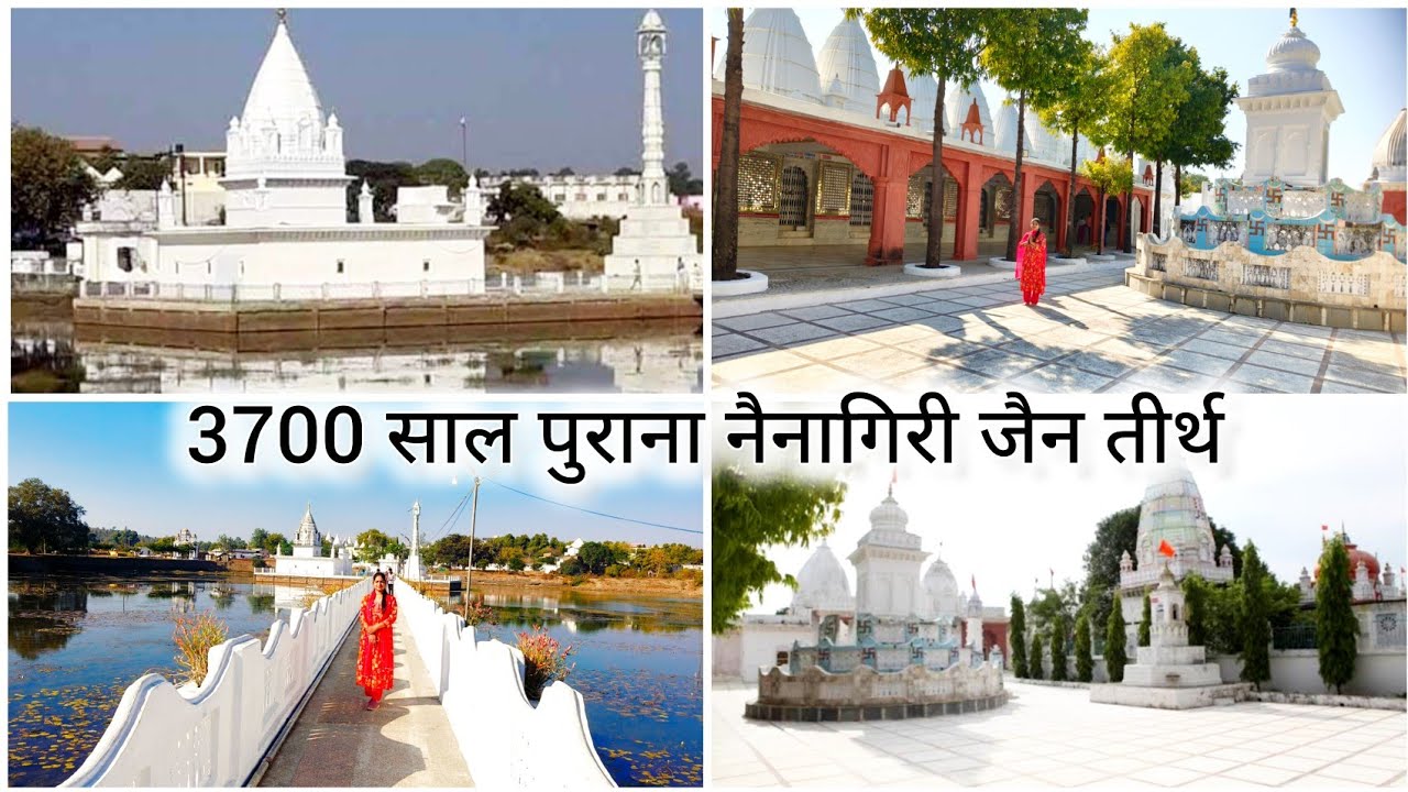 भगवान पार्श्वनाथ और उनकी समवसरण स्थली नैनागिरि जैन अतिशय तीर्थ Naina giri #careandcook #jaintemple 