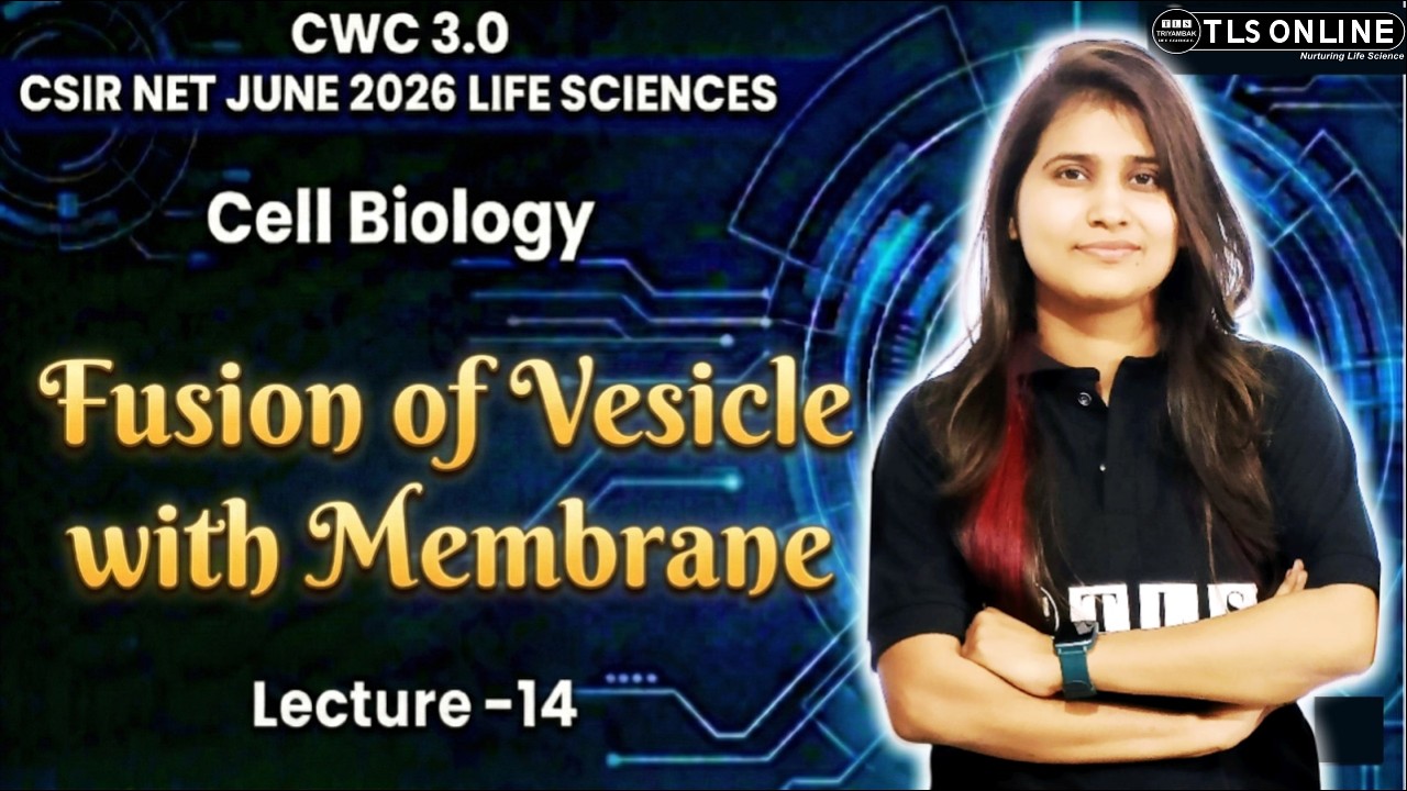 𝐋𝐲𝐬𝐨𝐬𝐨𝐦𝐞𝐬 | 𝐂𝐞𝐥𝐥 𝐁𝐢𝐨𝐥𝐨𝐠𝐲 𝐋𝐞𝐜𝐭𝐮𝐫𝐞 𝟏𝟒 | 𝐂𝐒𝐈𝐑 𝐍𝐄𝐓 𝐋𝐢𝐟𝐞 𝐒𝐜𝐢𝐞𝐧𝐜𝐞𝐬 𝐉𝐮𝐧𝐞 𝟐𝟎𝟐𝟔 | 𝐂𝐖𝐂 𝟑.𝟎