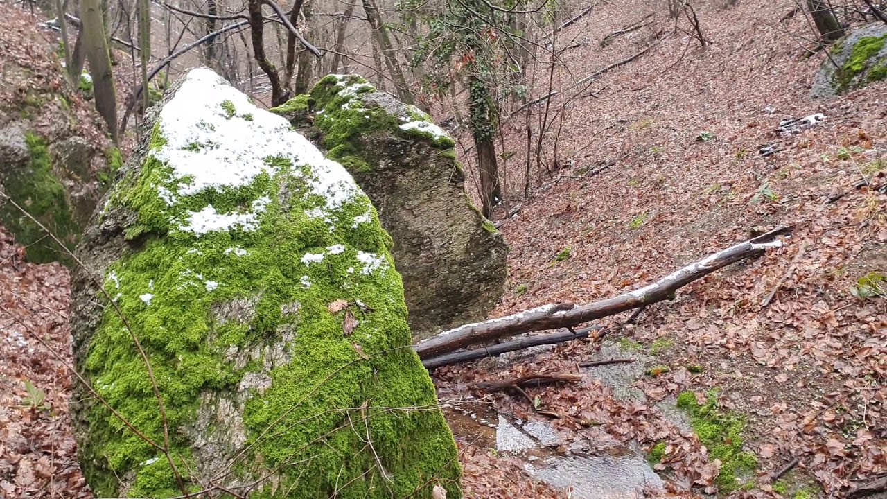 Vršačke planine, Lisičija glava, Orlovo brdo, dva kanjona do brane 10.01.2021.