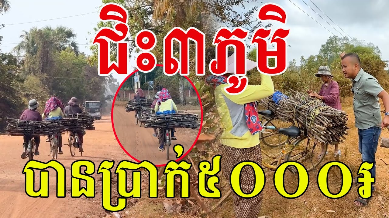 តស៊ូណាស់ ម៉ែកូនជិះកង់រកអុស៣ភូមិ ដើម្បីបានប្រាក់៥០០០៛