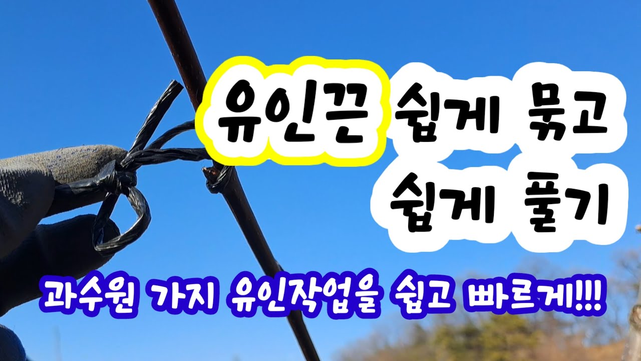 유인끈 묶는법 쉽고 빠르게 묶는방법