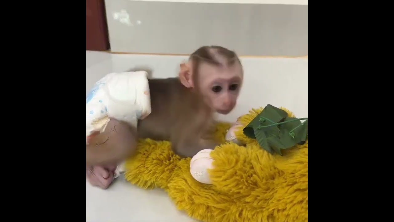 Baby Jelly Shaking On Floor Angrily Mom Step Out Not Pick Her Up