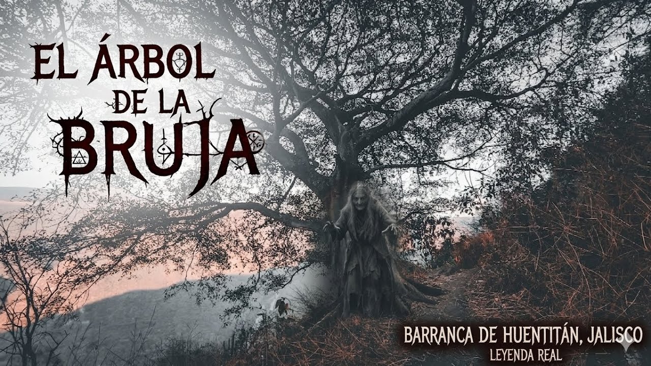 EL ARBOL DE LA BRUJA / Te muestro como llegar / Barranca de Huentitan Guadalajara 