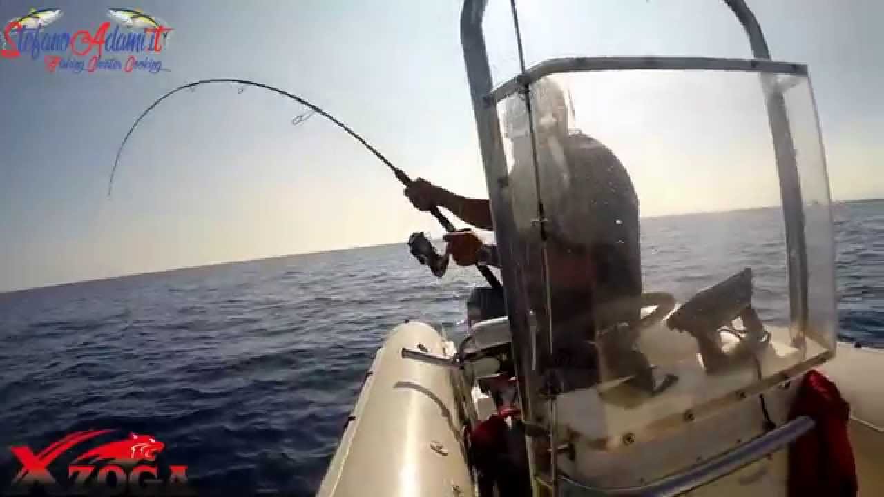 Tonno rosso a spinning, compilation - Bluefin tuna spinning compilation