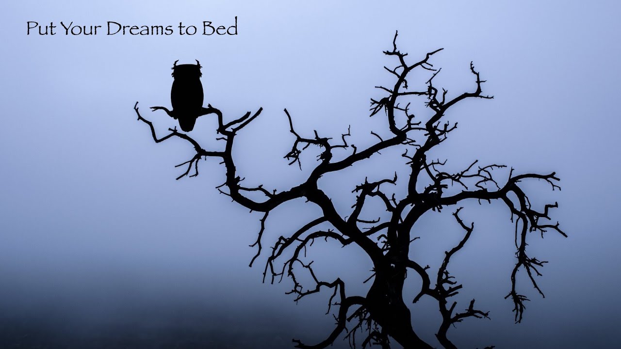 Put Your Dreams to Bed