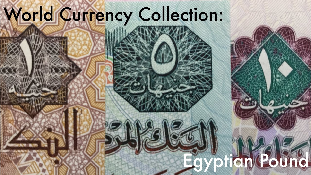 World Currency Collection: Egyptian Pound 🇪🇬
