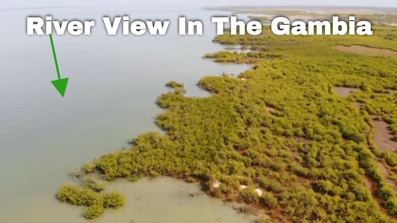 You Won't Believe What We Found In Bonto The Gambia