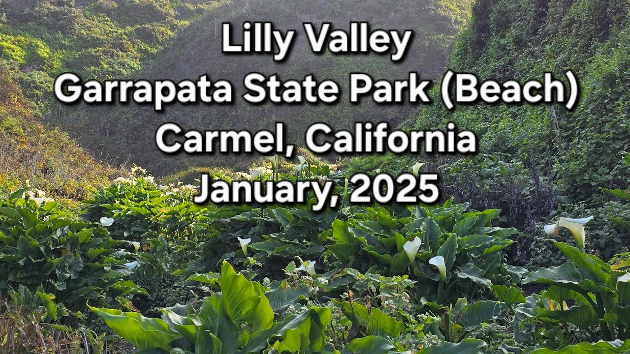 The Bluff Trail to Lilly Valley at Garrapata State Beach in Carmel, California