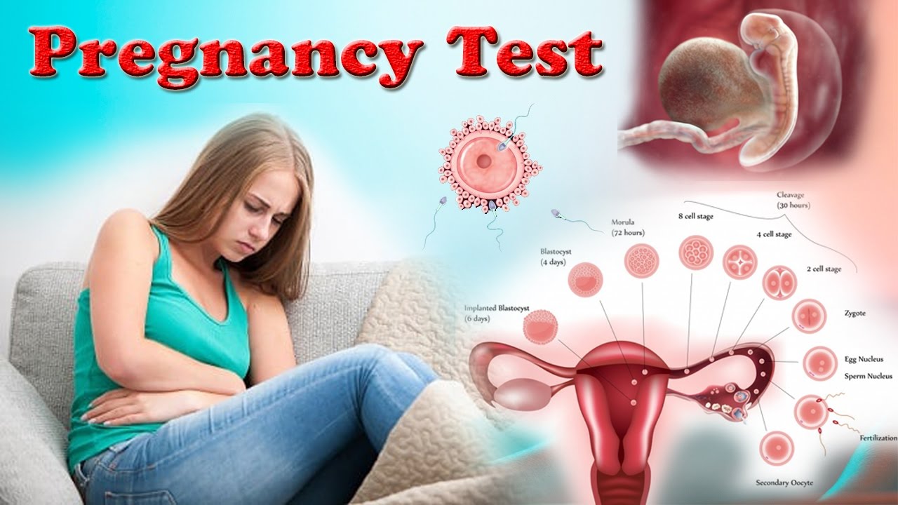 Pregnancy Test | HCG | UPT |##By  Harib Diagnostic Lab