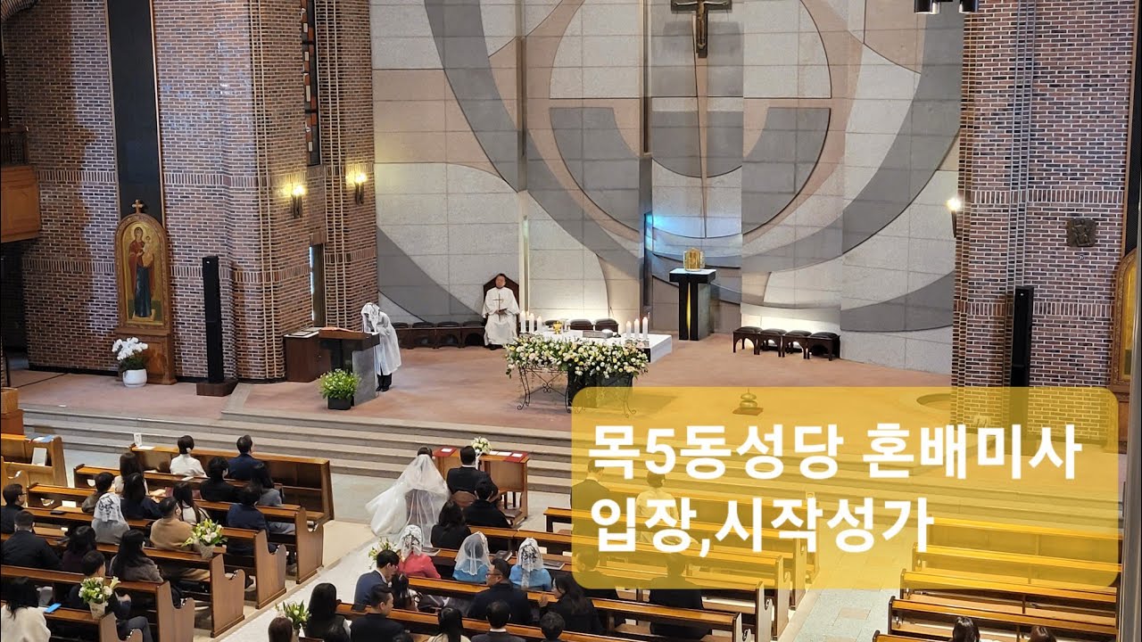 목5동성당 혼배미사 신랑,신부 입장 시작성가 파이프오르간 organ