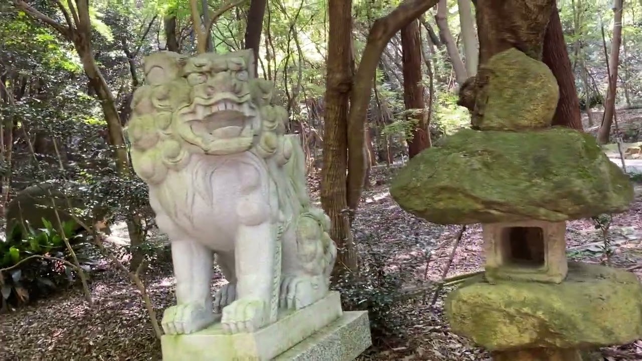 レベチ　星田妙見宮　霊視鑑定