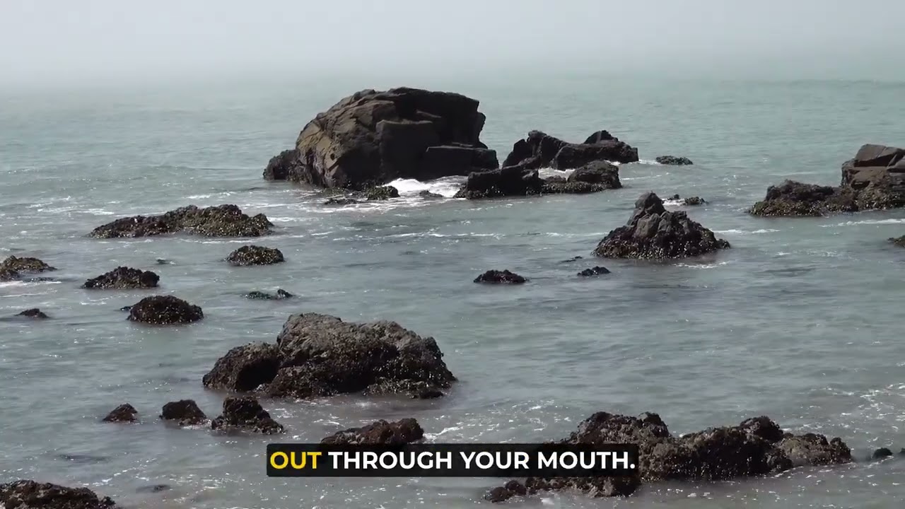 Yo Cuento presents: Trails Rx - Año Nuevo State Park