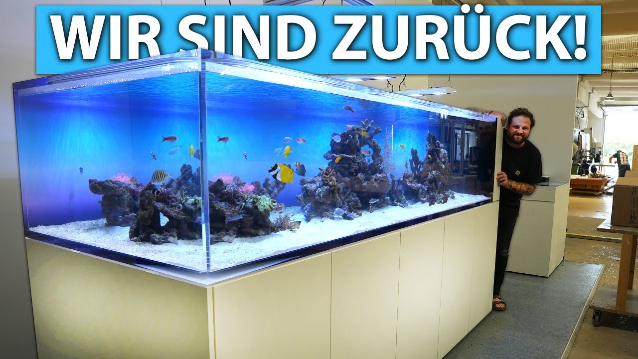 Wir sind zurück! - Unser neues NEW WAVE Schaubecken 🐟