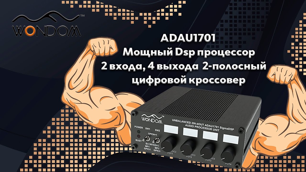 Wondom Adau1701 мощный цифровой DSP процессор 2x4