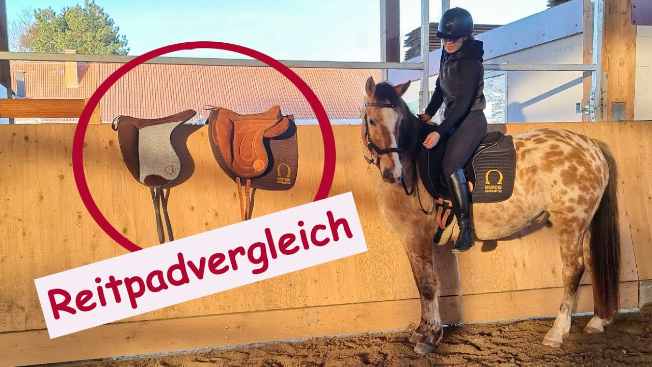 Signum Omega Reitpads im Vergleich. Freedom - Filzpad - Dressage