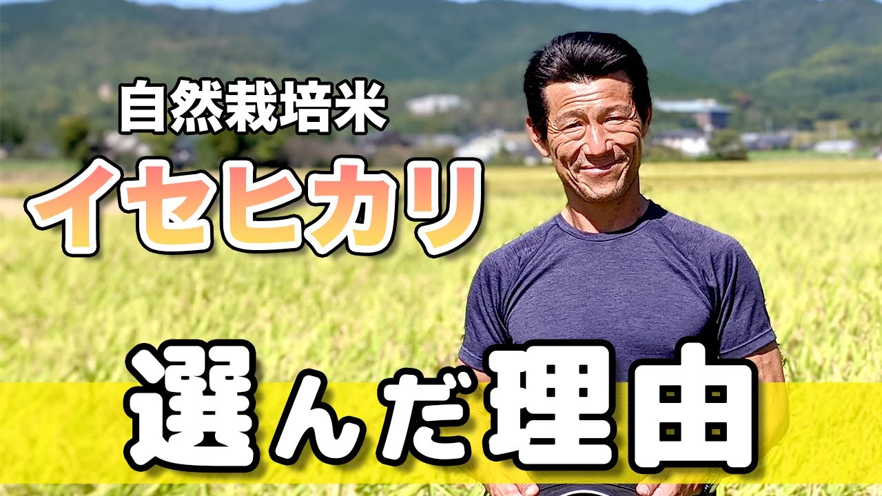 【自然栽培】自然栽培米農家/松本一宏がイセヒカリを選んで育てている理由とは！？（自然栽培米専門店ナチュラルスタイル）