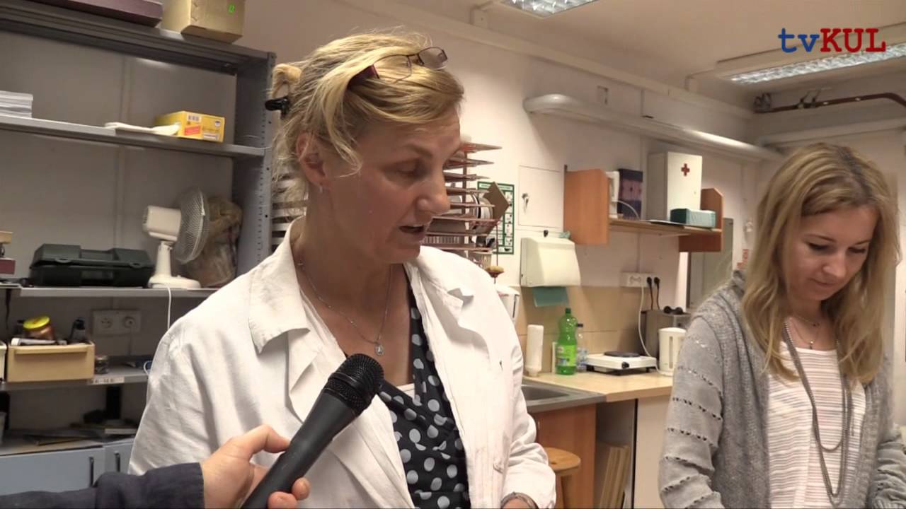 XII Tydzień Bibliotek
