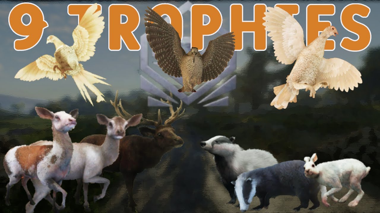 INSANE NINE TROPHY Hunt on Torr Nan Sithean!!!