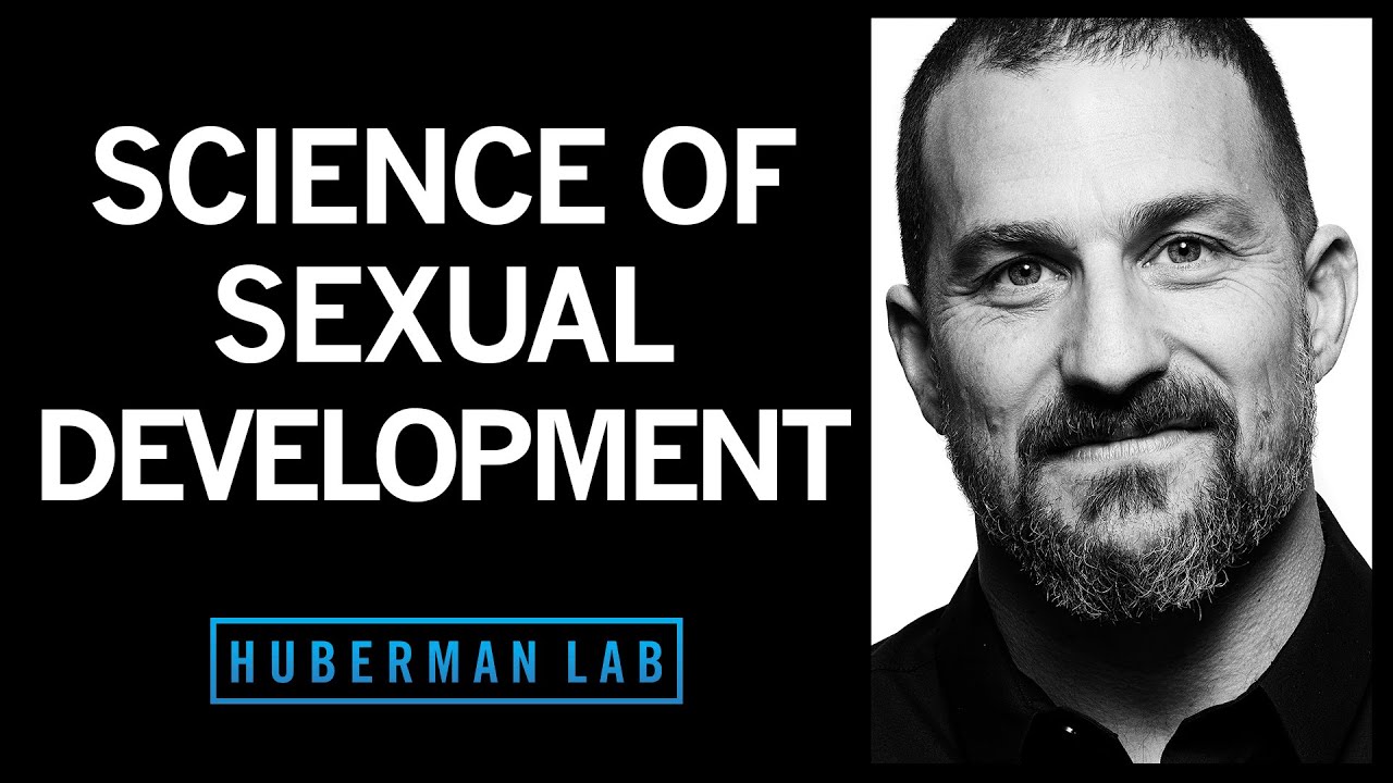How Hormones Shape Sexual Development
