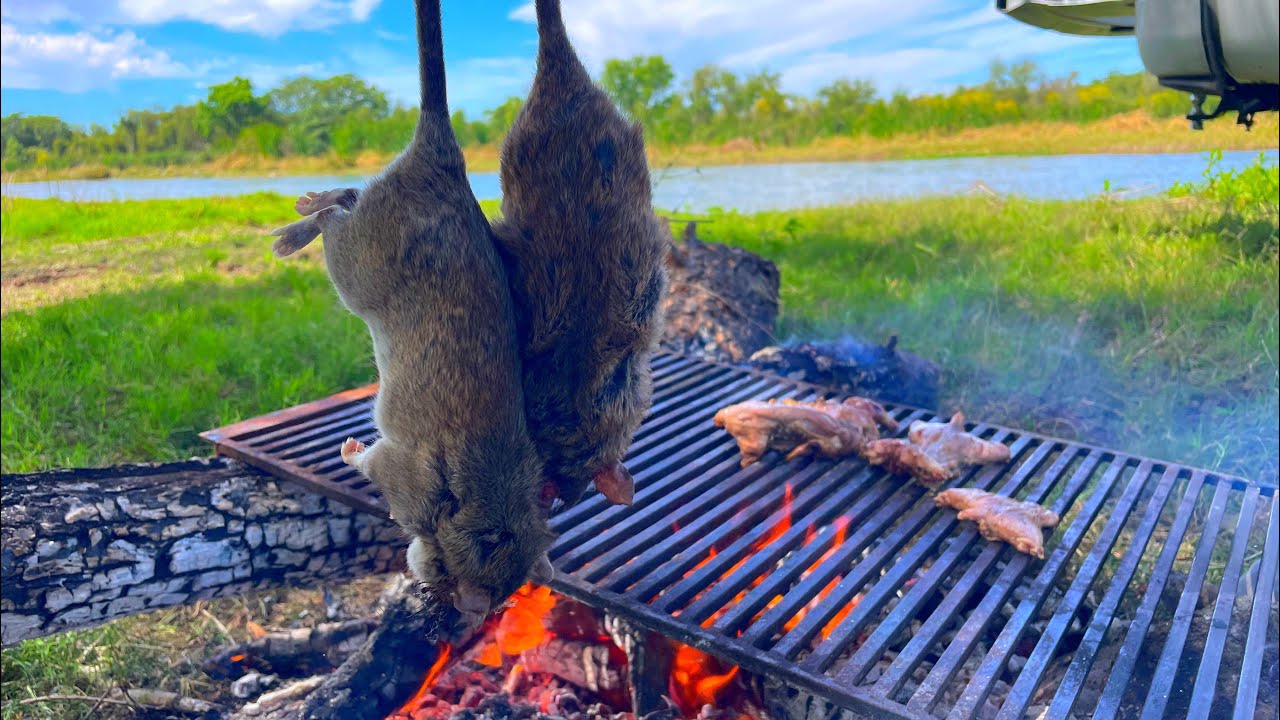 Caza y cocina de RATAS ASADAS al carb&oacute;n || Caceria con RESORTERA
