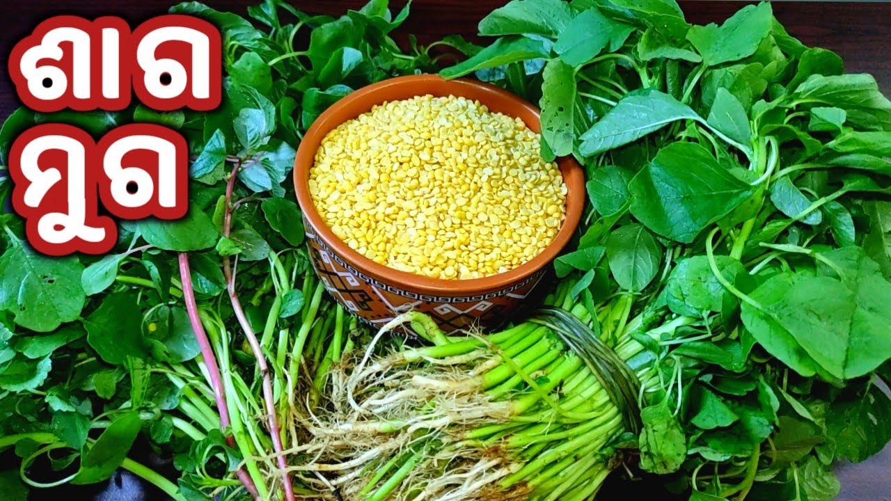 ଶାଗମୁଗ/ଶାଗଖରଡା କୁ ଏମିତିବନାନ୍ତୁ ଭାତ ସହିତ ପୁରା ଜମିବ(ବିନା ପିଆଜ ରସୁଣରେ)SAGA MUGA/SAGA KHARADA/KOSALASAGA