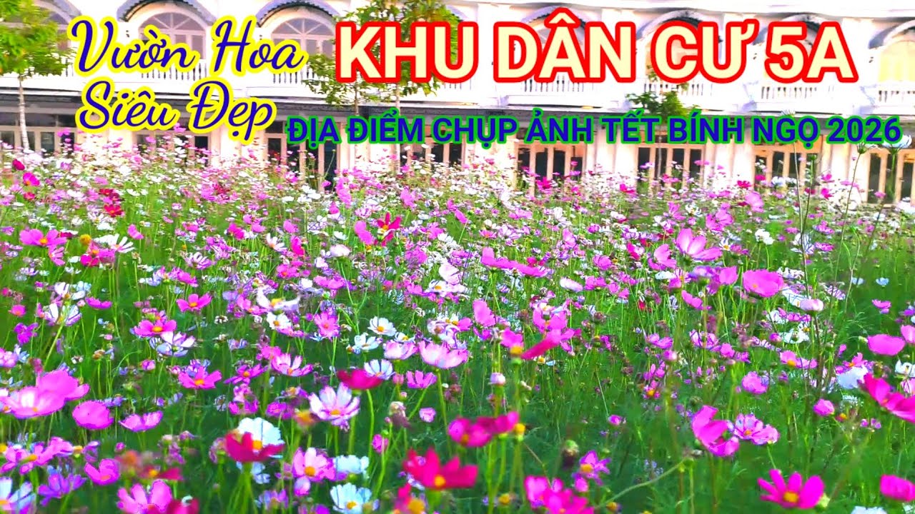 VƯỜN HOA KHU DÂN CƯ 5A ĐỊA ĐIỂM CHỤP ẢNH TẾT BÍNH NGỌ 2026 TẠI PHƯỜNG PHÚ LỢI (SÓC TRĂNG CŨ)