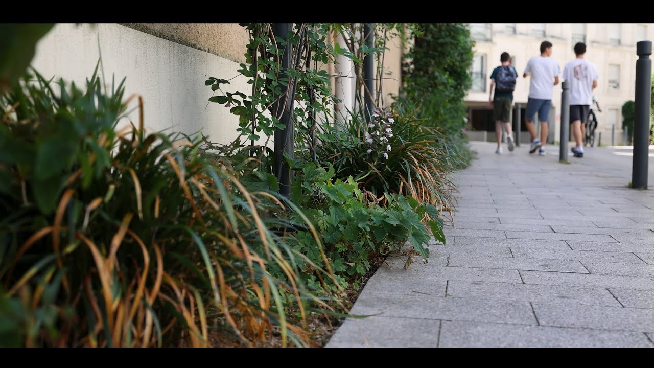 Désimperméabiliser les sols urbains : de la recherche à l’action au sein des villes