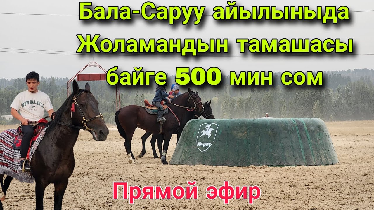 Жоламан Шаршанбеков той берип жатат байге той ээсинен 500 мин сом Бала-Саруу айылы