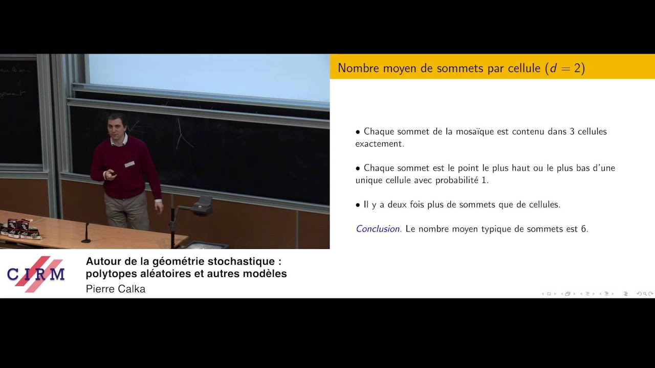 Pierre Calka: Autour de la géométrie stochastique : polytopes aléatoires et autres modèles