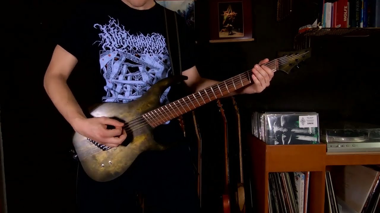 Meshuggah - Marrow (full instrumental cover + guitar playthrough)
