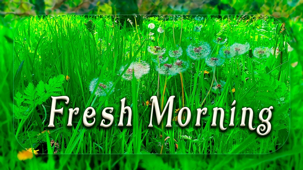 Fresh Morning & Positive Energy🌼Healing Frequency Spring Therapy🌼Relaxing Nature Ambience Meditation