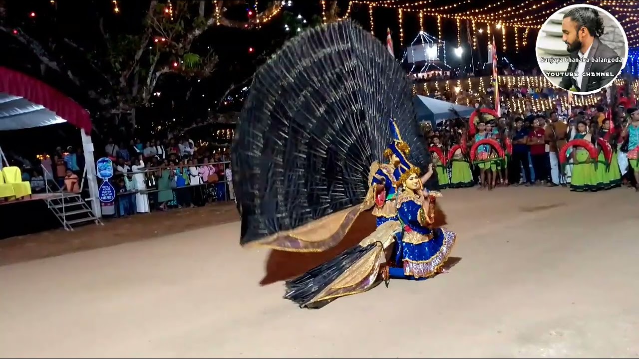 මොනර නර්තනය බලන්නකො පුදුම ලස්සනක් 
