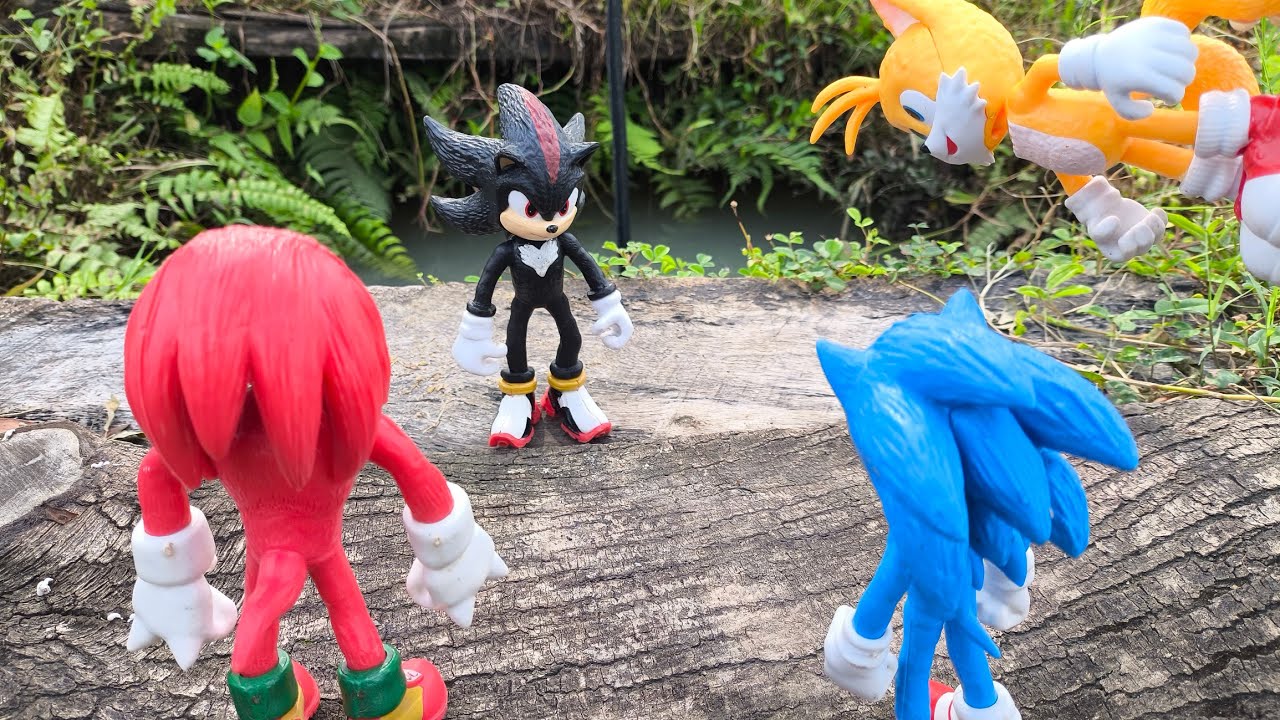 Sonic Hedgehog, Sonic Shadow, Knuckles, Tails, Metal Sonic, Super Sonic, Metal Sonic, Super Shadow