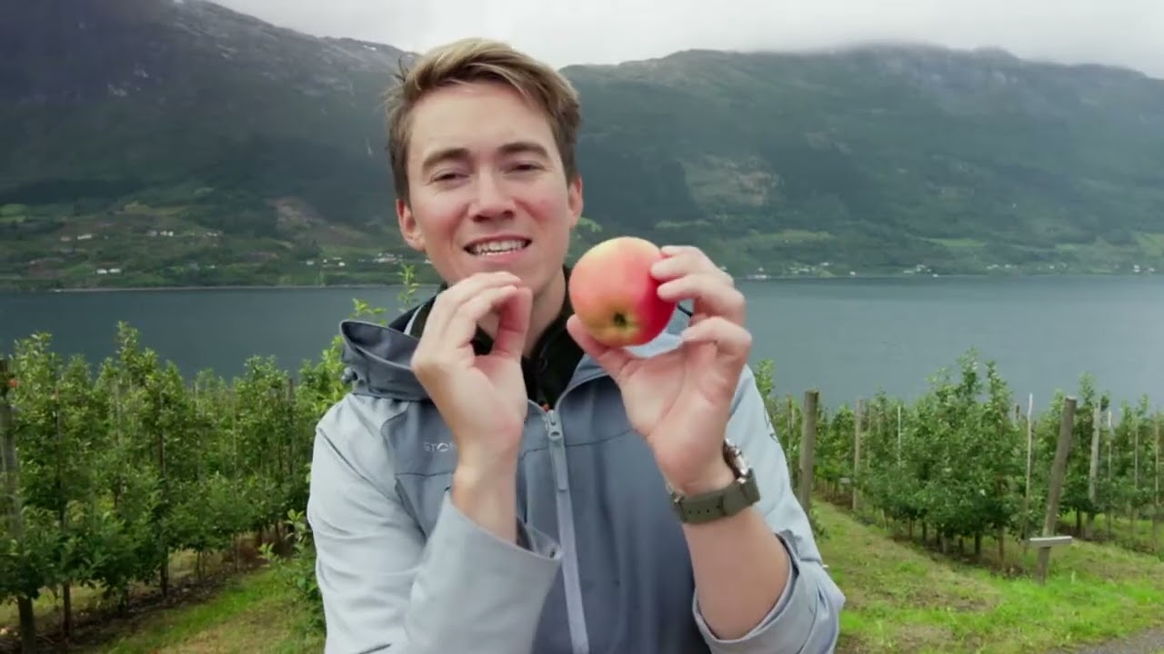 New Scandinavian Cooking  -  Autumn Apple Treats