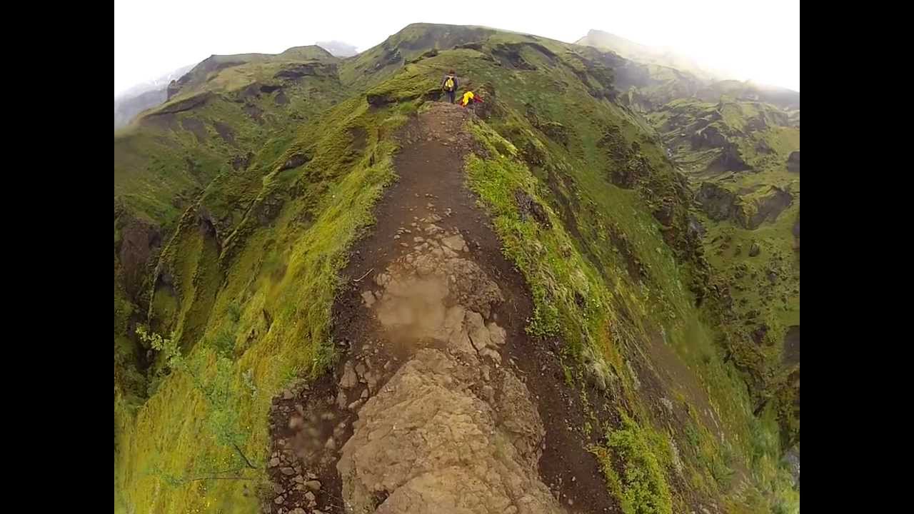 Iceland Cat Spine