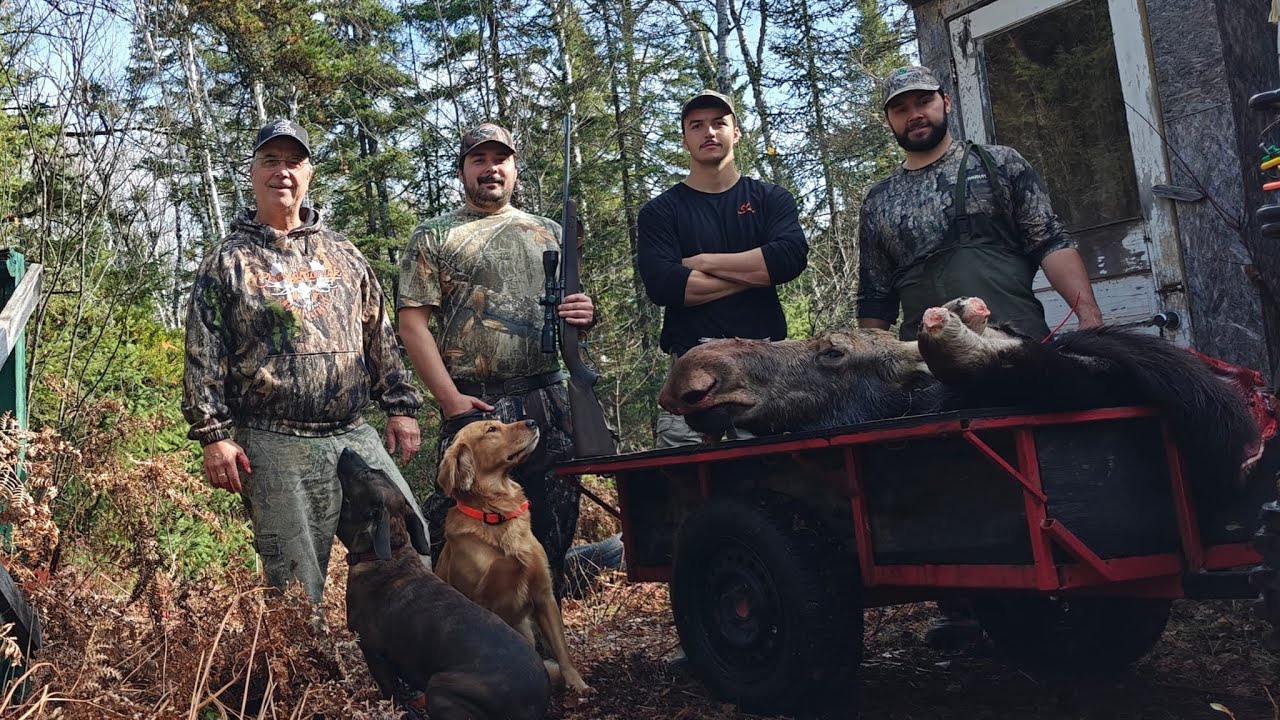 Chasse Orignal Carabine 2025 - Ferron