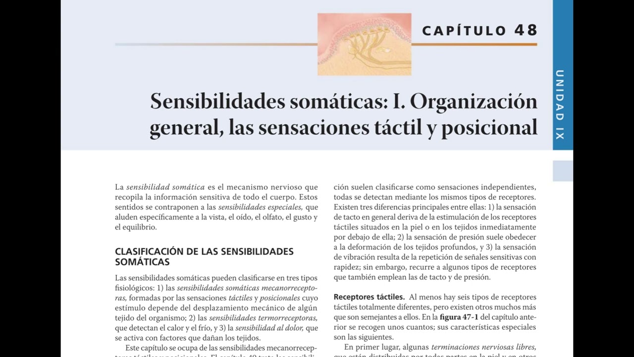 Podcast: Resumen Capítulo 48 – Sensibilidad Táctil y Posicional | Guyton 14ª Ed.
