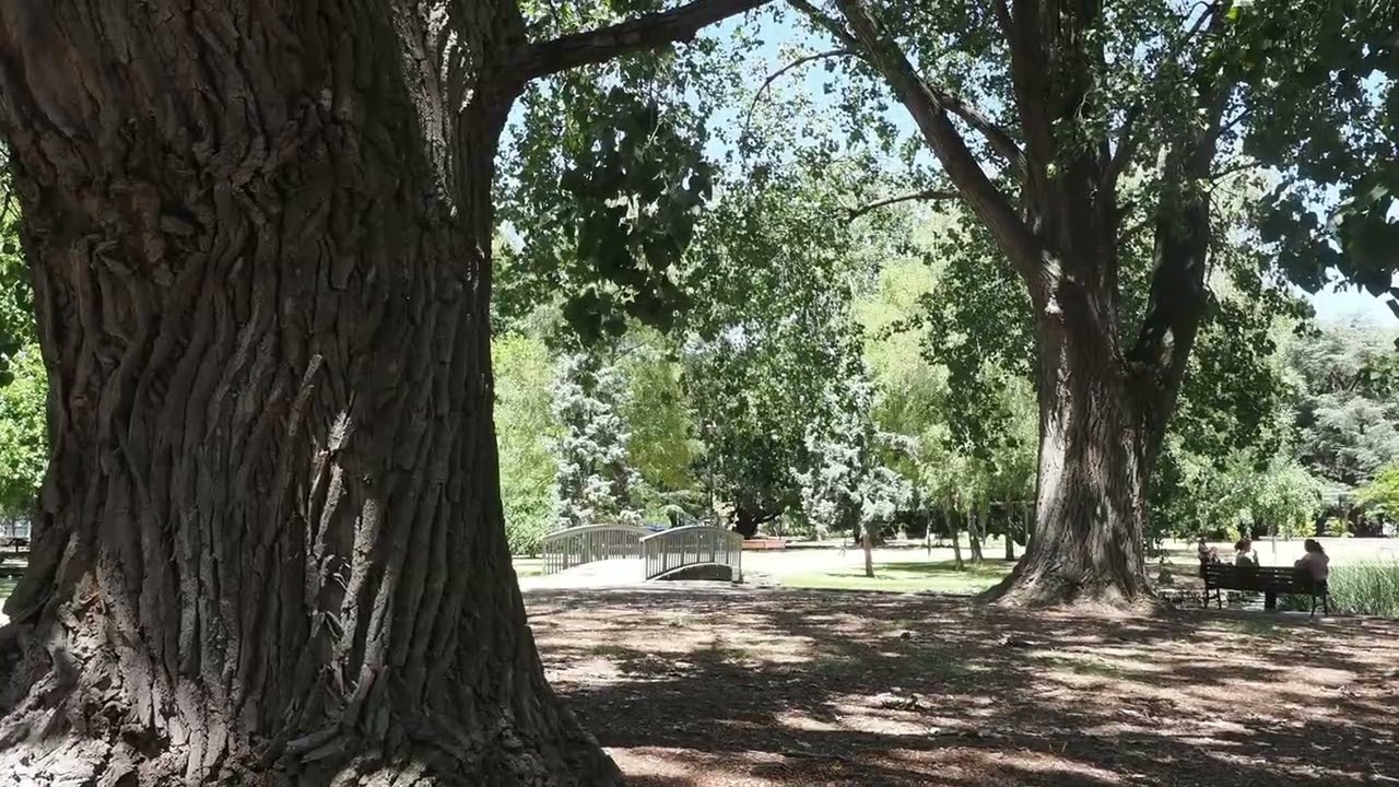 Caulfield park, Melbourne 2026