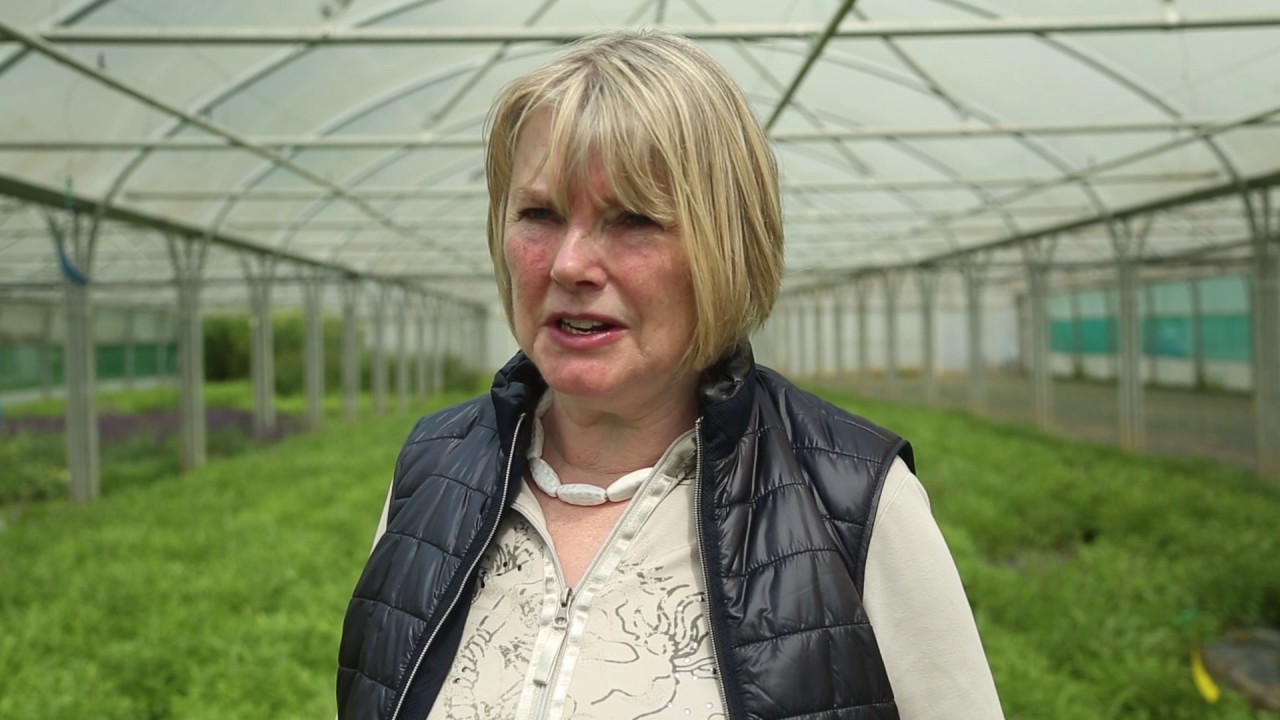 Yorkshire farmer creates herb growing empire