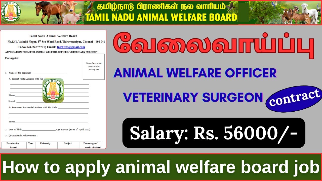 Tamilnadu Government Job Vacancies 2025 | Animal Welfare Officer | Contract Basis | How To Apply?